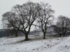 Snow