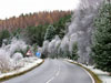 Snow