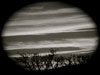 Skies