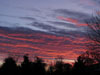 Skies