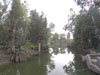 Landscapes