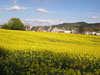 Landscapes