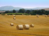 Landscapes