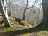 Landscapes