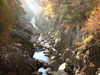 Landscapes