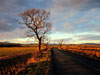 Landscapes