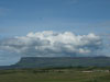 Landscapes