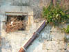 Decay and Aging