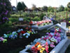 cemeteries