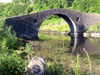 bridges