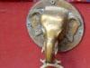 photography
