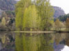 photography